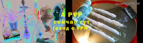 мяу мяу мука Баксан
