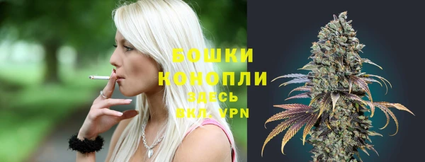 ГАЛЛЮЦИНОГЕННЫЕ ГРИБЫ Балахна
