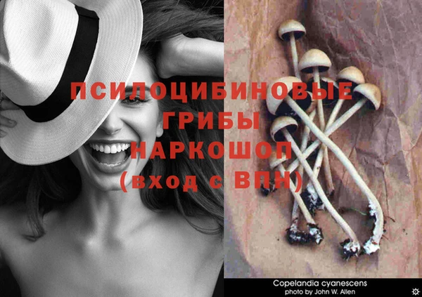 каннабис Балабаново