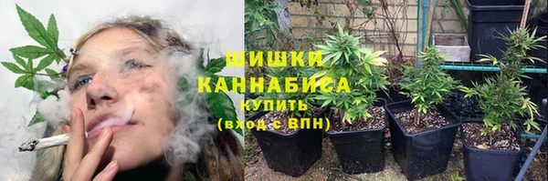 ГАЛЛЮЦИНОГЕННЫЕ ГРИБЫ Балахна