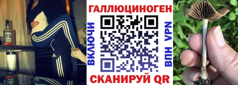 Галлюциногенные грибы Psilocybe  дарнет шоп  Грязовец 