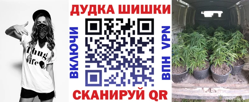 Шишки марихуана план  кракен онион  Грязовец 